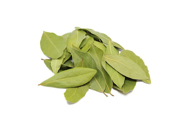 Bay leaves
