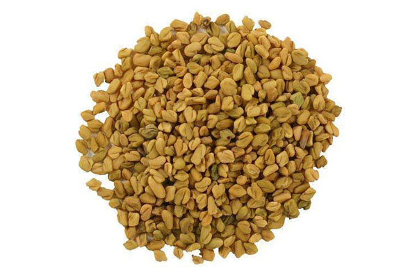 Fenugreek
