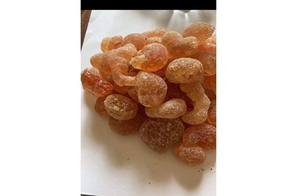 acacia
