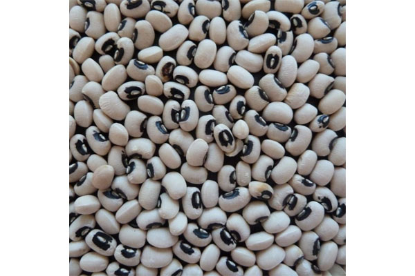 beans