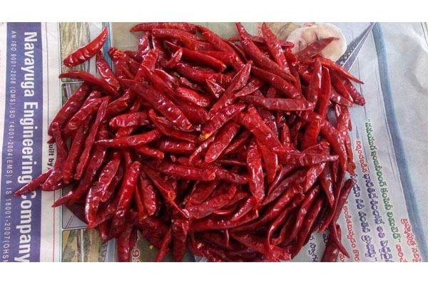 chili