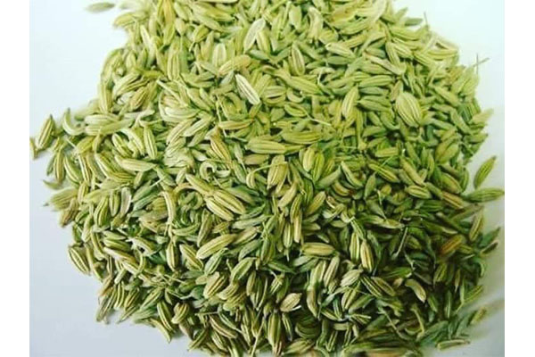 fennel