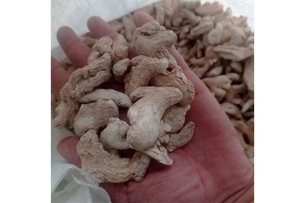 ginger