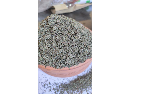 thyme