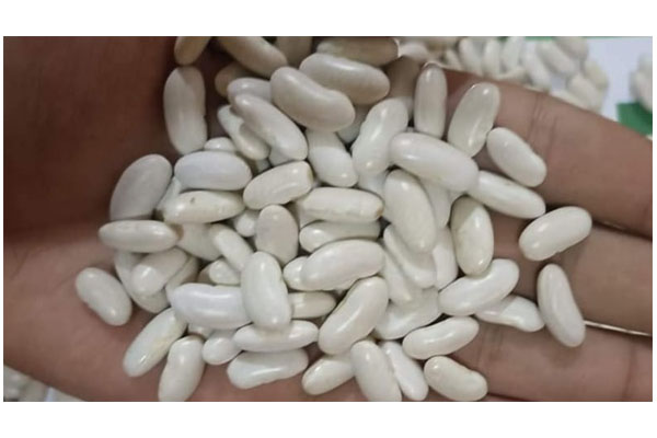 white kidney beans